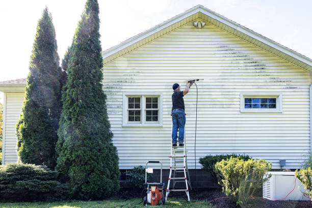 Best Pressure Washing Near Me  in Portland, MI